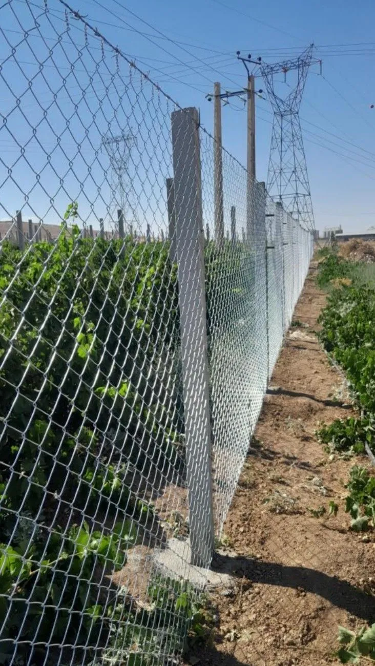 شبوك حواجز أراضي في حي العارض شمال الرياض